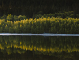 Alouette Lake, near Vancouver BC, is seen during a calm sunrise. Lush green trees are reflected in the still water.