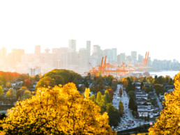A bright photograph of downtown Vancouver and the Vancouver port during sunset in the autumn. Trees with bright yellow leaves are visible in the foreground.
